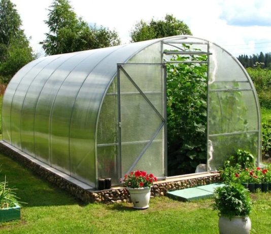 Теплица для экстремальной зимы