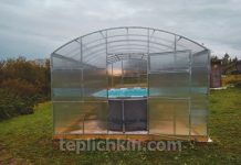 От рассады к фермерству: выбираем теплицу Теплица