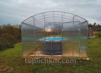 От рассады к фермерству: выбираем теплицу Теплица