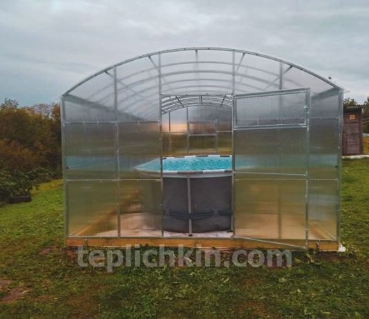 От рассады к фермерству: выбираем теплицу Теплица