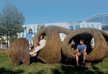 Культурное погружение: арт-паблик на улицах города арт-паблик на улицах города