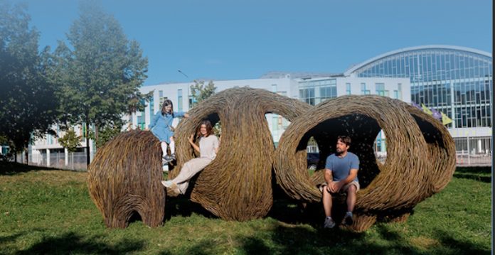 IMG_01 арт-паблик на улицах города