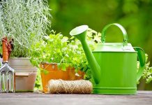 Товары для дома и сада: тайминг опт-закупок Товары для дома и сада