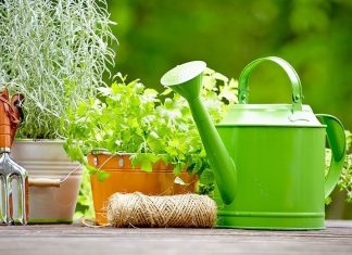 Товары для дома и сада: тайминг опт-закупок Товары для дома и сада