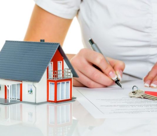 Мал золотник, да дорог: ростовские комнаты агентство недвижимости